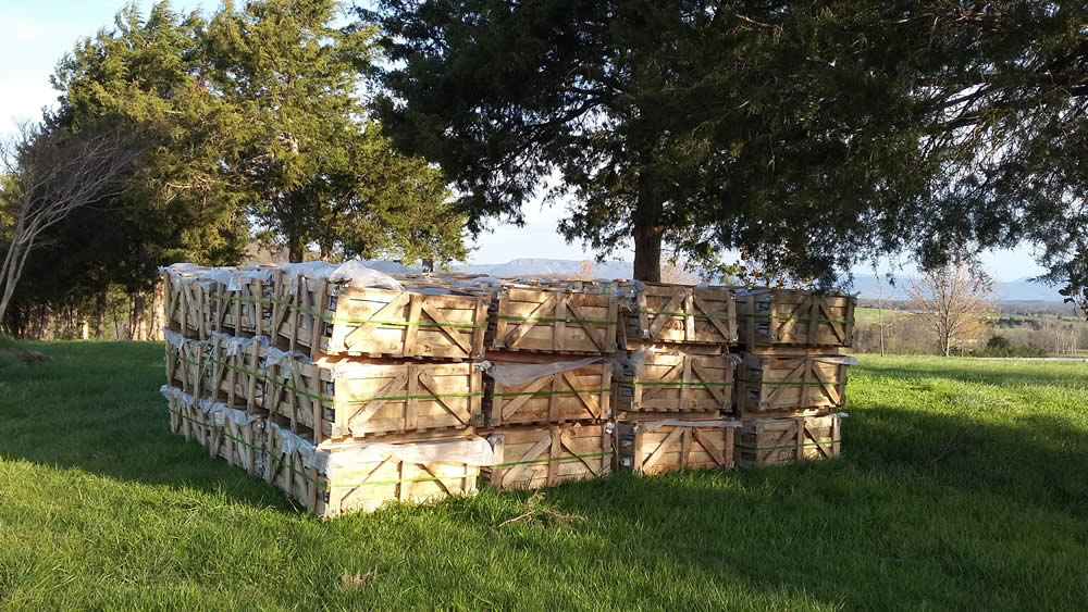 Delivery of stone which will be used on the lower level facade.