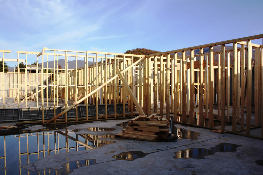 NOVEMBER 15-View from the basement