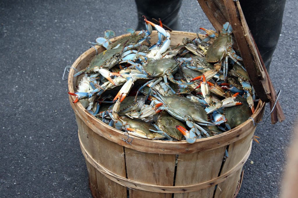 mlg-tsethar-08192018.IMG_2005