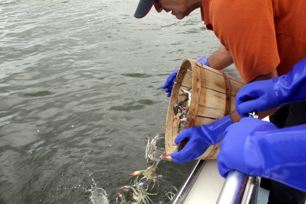 mlg-tsethar-08192018.IMG_2239