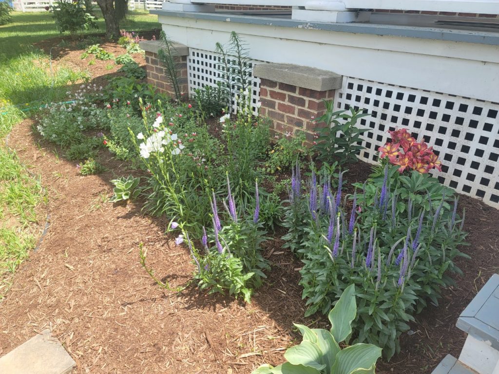 2022-04-01_LG_Garden Work_003009903