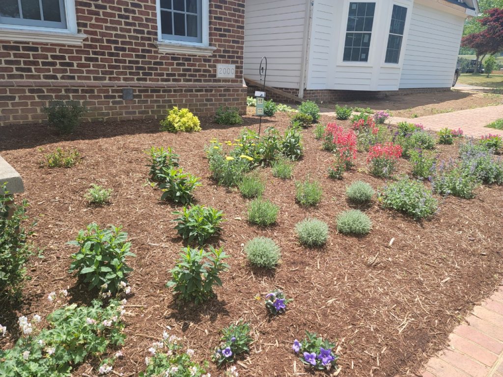 2022-04-01_LG_Garden Work_003009903_01