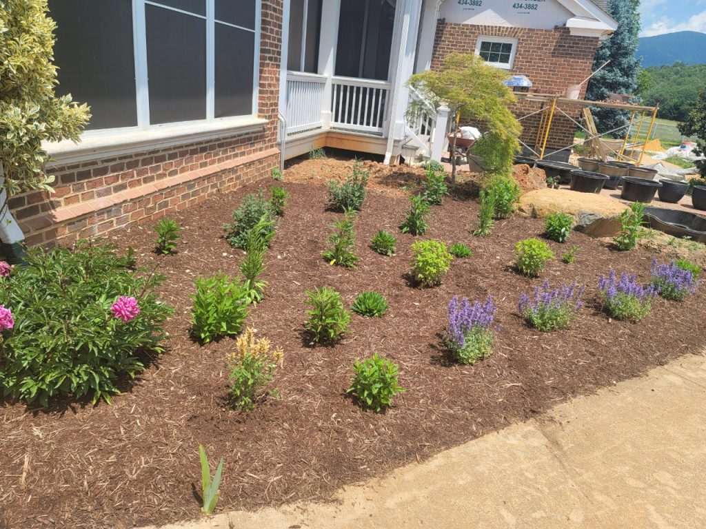 2022-04-01_LG_Garden Work_003009903_04