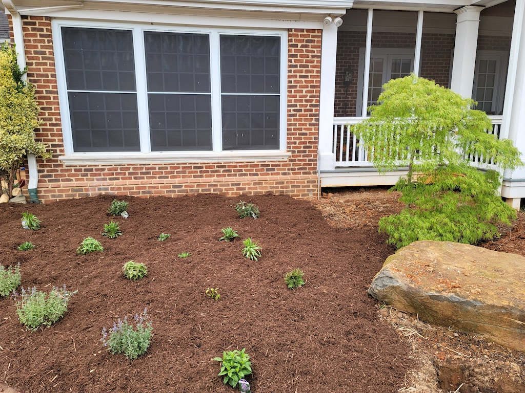 LG Garden Work_20210425_183548