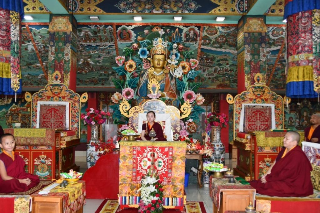 F-DSC_1173-Medium-v2